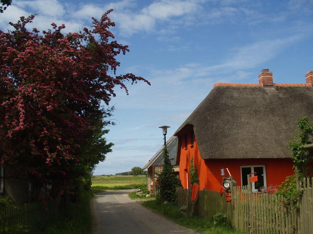 Appartamento Hofboddenblick Kuckenshagen Esterno foto