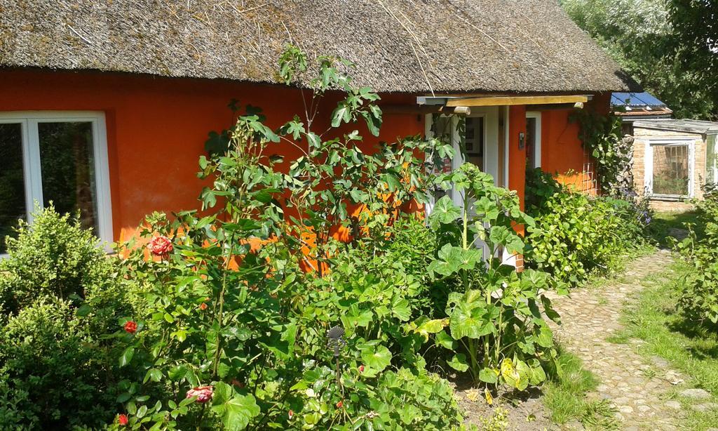 Appartamento Hofboddenblick Kuckenshagen Esterno foto