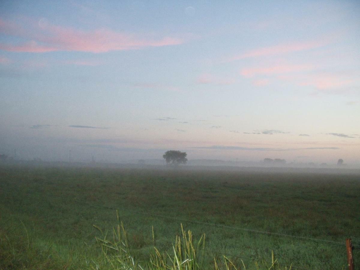 Appartamento Hofboddenblick Kuckenshagen Esterno foto